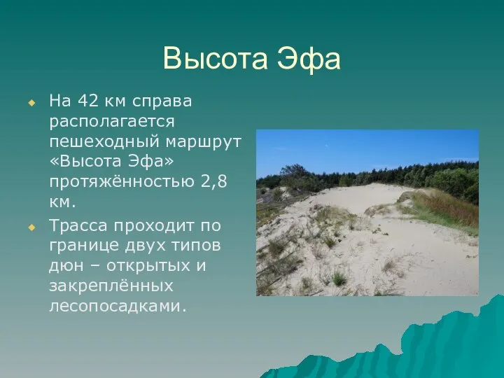 Высота Эфа На 42 км справа располагается пешеходный маршрут «Высота Эфа»