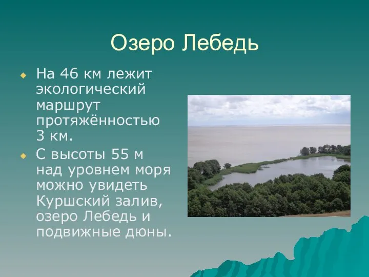 Озеро Лебедь На 46 км лежит экологический маршрут протяжённостью 3 км.