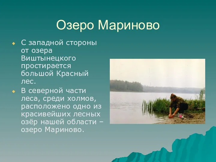 Озеро Мариново С западной стороны от озера Виштынецкого простирается большой Красный