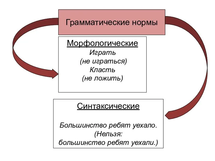 Грамматические нормы Морфологические Играть (не играться) Класть (не ложить) Синтаксические Большинство