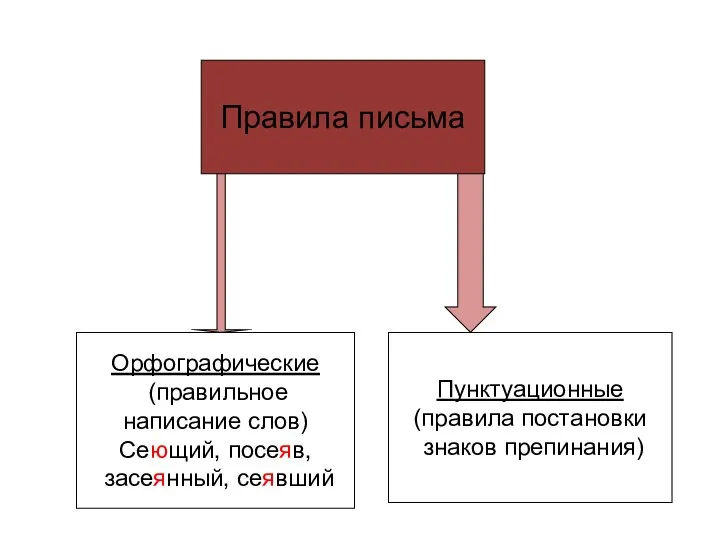 Правила письма Орфографические (правильное написание слов) Сеющий, посеяв, засеянный, сеявший Пунктуационные (правила постановки знаков препинания)