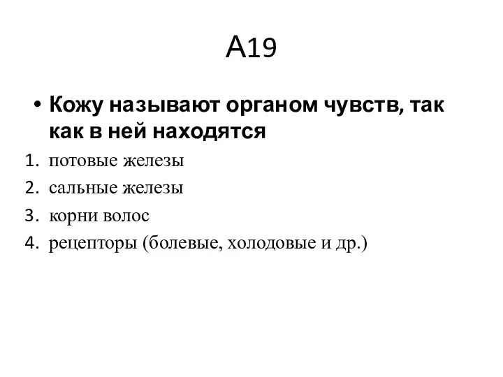 А19 Кожу называют органом чувств, так как в ней находятся потовые