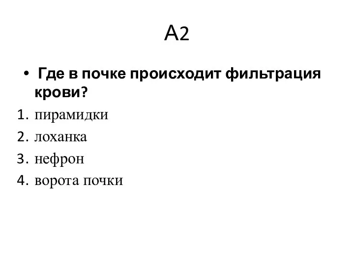 А2 Где в почке происходит фильтрация крови? пирамидки лоханка нефрон ворота почки