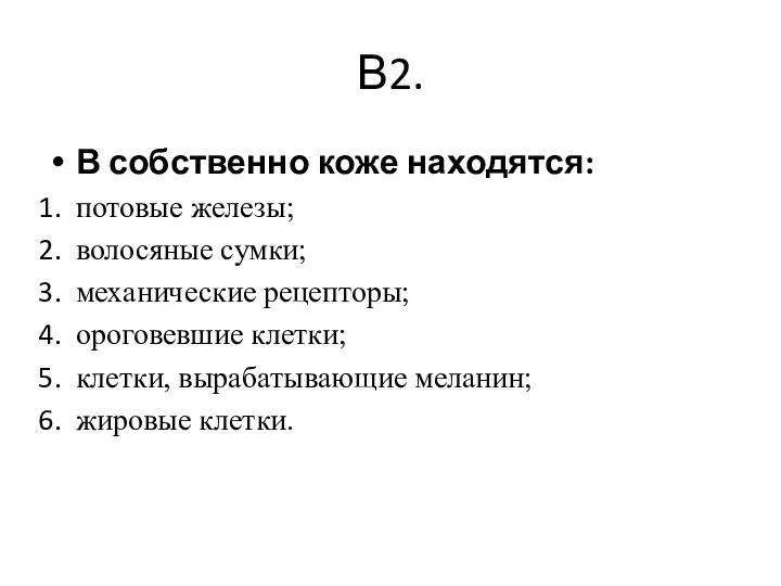 В2. В собственно коже находятся: потовые железы; волосяные сумки; механические рецепторы;