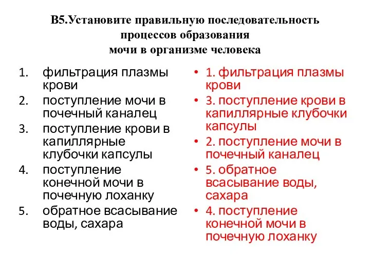 В5.Установите правильную последовательность процессов образования мочи в организме человека фильтрация плазмы