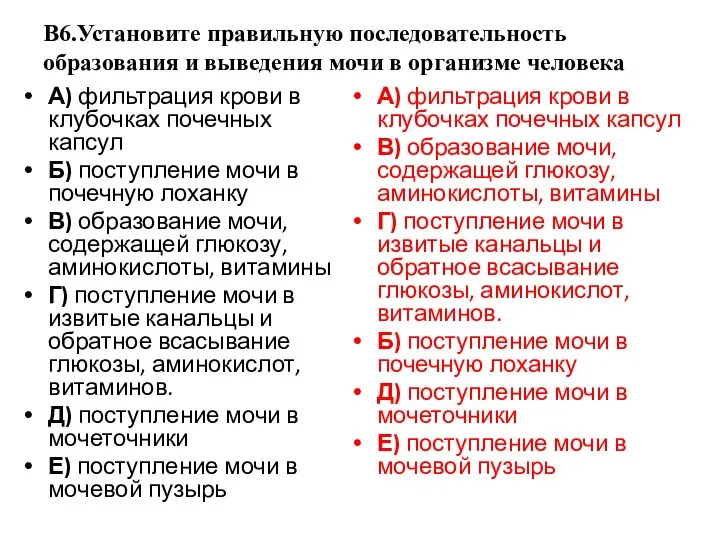 В6.Установите правильную последовательность образования и выведения мочи в организме человека А)