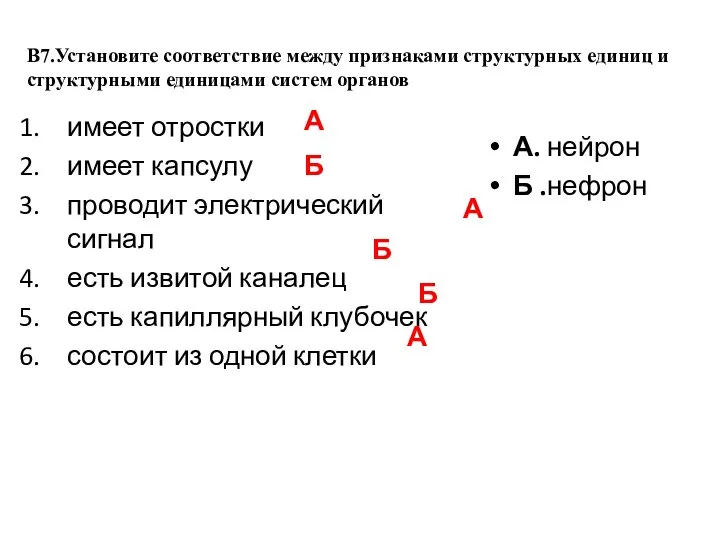 В7.Установите соответствие между признаками структурных единиц и структурными единицами систем органов