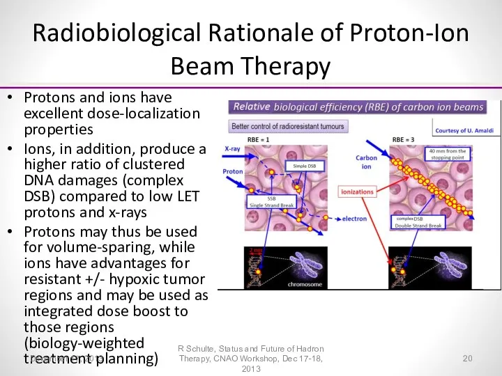 Radiobiological Rationale of Proton-Ion Beam Therapy Protons and ions have excellent