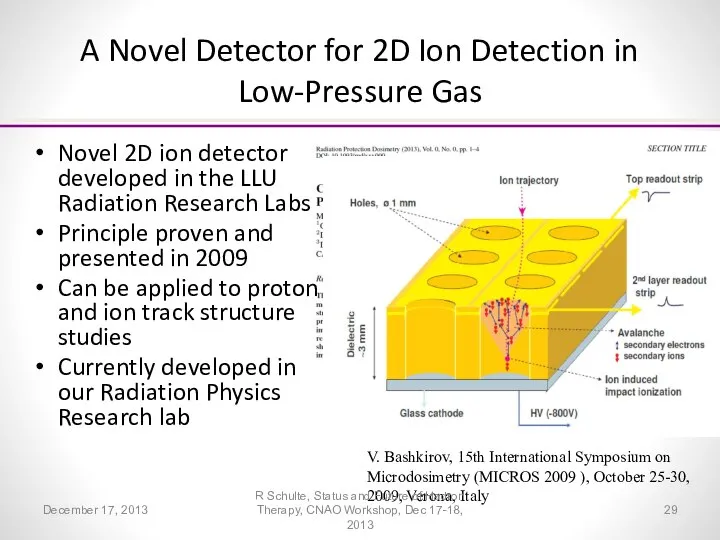 A Novel Detector for 2D Ion Detection in Low-Pressure Gas Novel