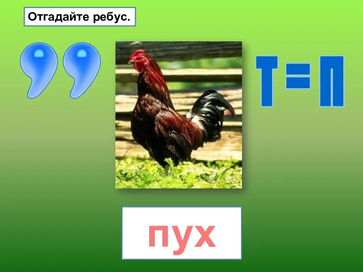 т = п пух Отгадайте ребус.