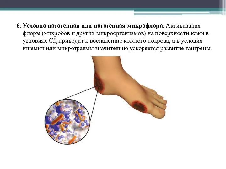 6. Условно патогенная или патогенная микрофлора. Активизация флоры (микробов и других