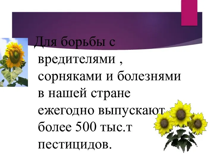 Для борьбы с вредителями ,сорняками и болезнями в нашей стране ежегодно выпускают более 500 тыс.т пестицидов.