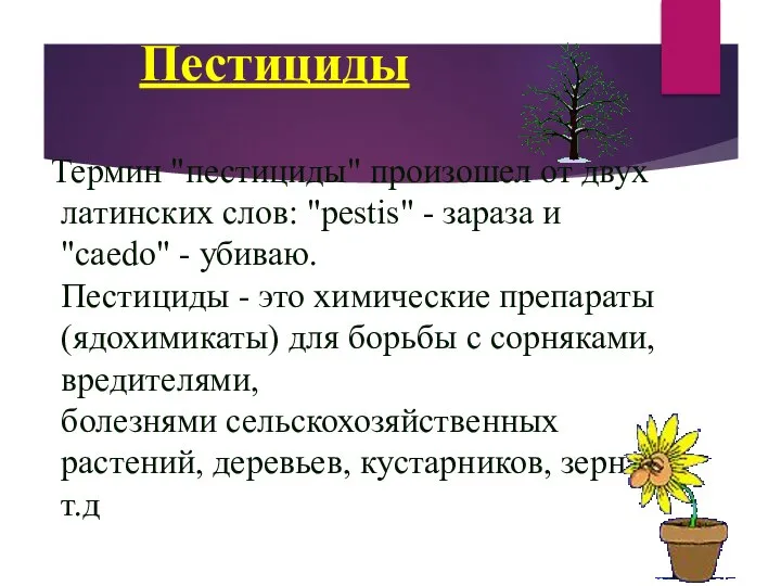 Пестициды Термин "пестициды" произошел от двух латинских слов: "pestis" - зараза