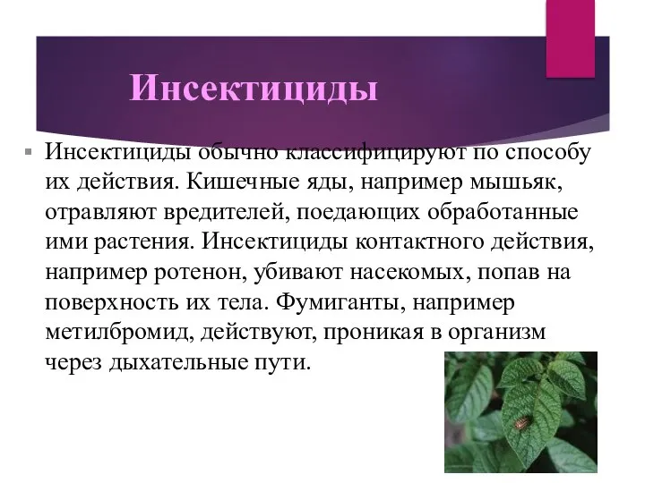 Инсектициды Инсектициды обычно классифицируют по способу их действия. Кишечные яды, например