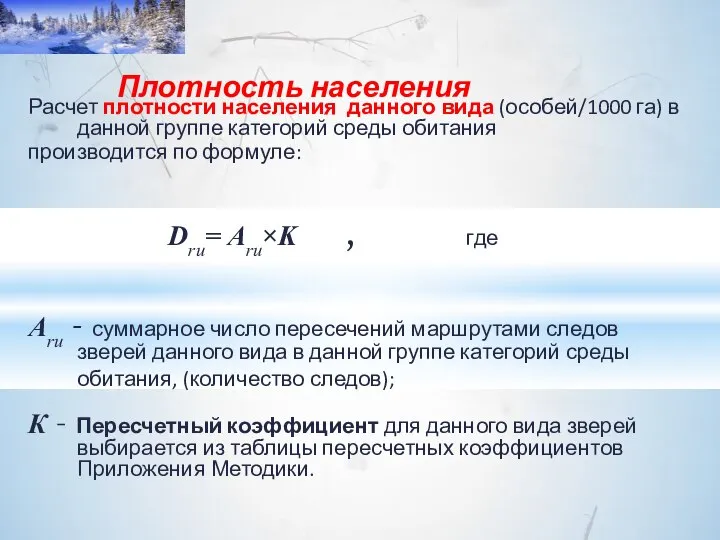 Расчет плотности населения данного вида (особей/1000 га) в данной группе категорий