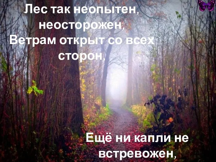 Лес так неопытен, неосторожен, Ветрам открыт со всех сторон, Ещё ни