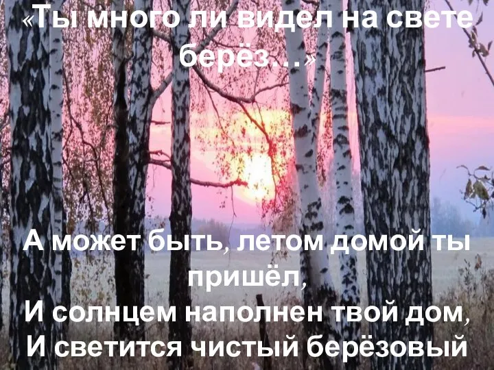 «Ты много ли видел на свете берёз…» А может быть, летом