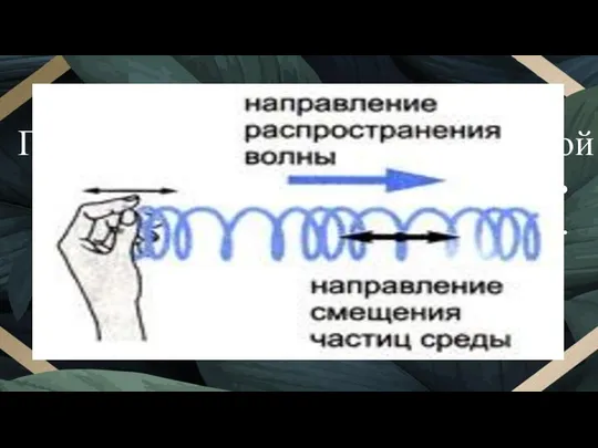 Продольная волна – волна, в которой частицы среды колеблются вдоль направления