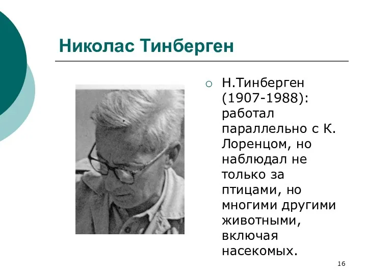 Николас Тинберген Н.Тинберген (1907-1988): работал параллельно с К.Лоренцом, но наблюдал не