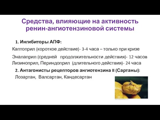 Средства, влияющие на активность ренин-ангиотензиновой системы 1. Ингибиторы АПФ: Каптоприл (короткое