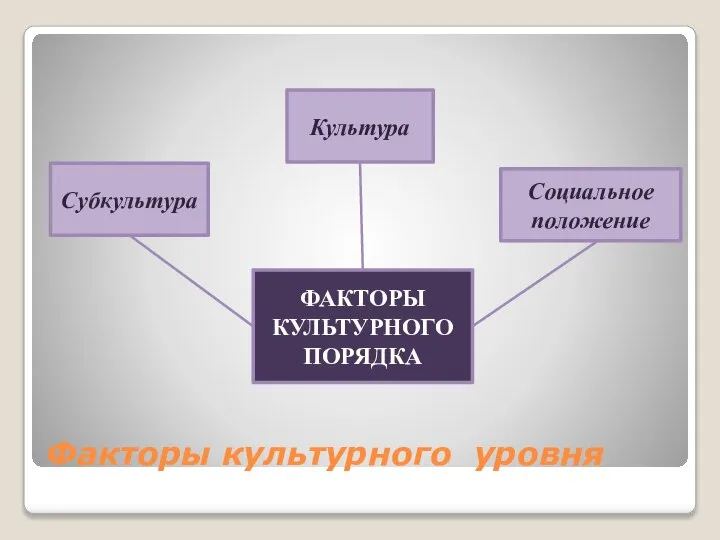 Факторы культурного уровня ФАКТОРЫ КУЛЬТУРНОГО ПОРЯДКА Субкультура Социальное положение Культура