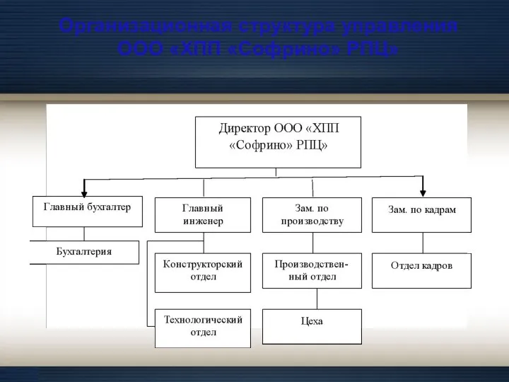 Организационная структура управления ООО «ХПП «Софрино» РПЦ»