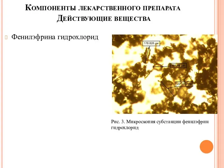 Компоненты лекарственного препарата Действующие вещества Фенилэфрина гидрохлорид Рис. 3. Микроскопия субстанции фенилэфрин гидрохлорид