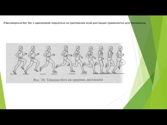 Равномерный бег, бег с одинаковой скоростью на протяжении всей дистанции применяется для тренировки.