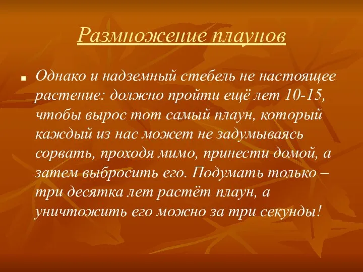 Размножение плаунов Однако и надземный стебель не настоящее растение: должно пройти