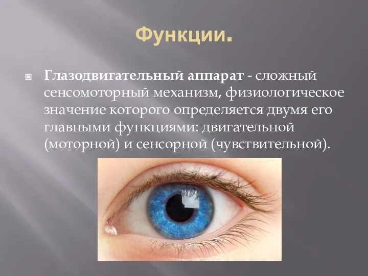 Функции. Глазодвигательный аппарат - сложный сенсомоторный механизм, физиологическое значение которого определяется