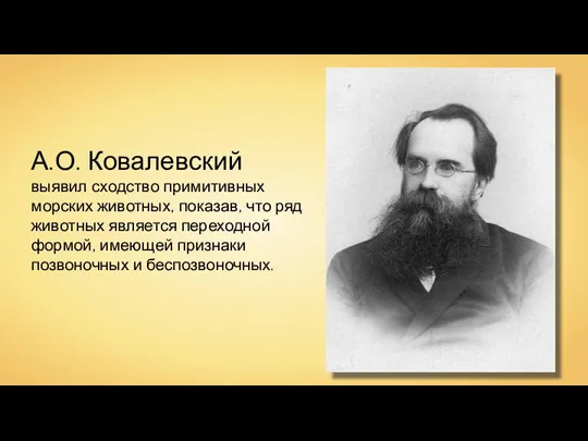 А.О. Ковалевский выявил сходство примитивных морских животных, показав, что ряд животных