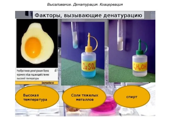 Высаливание. Денатурация. Коацервация