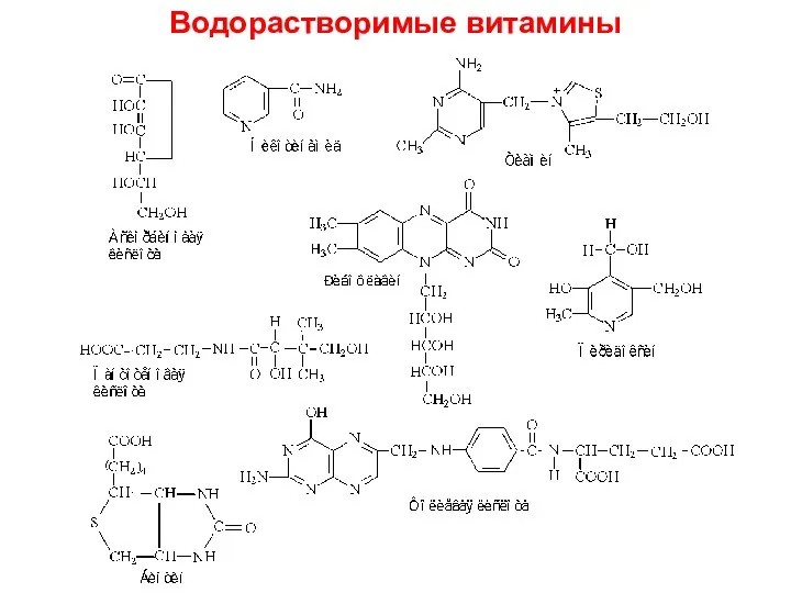 Водорастворимые витамины