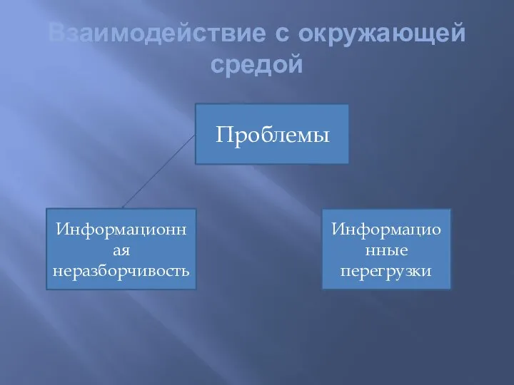 Взаимодействие с окружающей средой Проблемы Информационная неразборчивость Информационные перегрузки