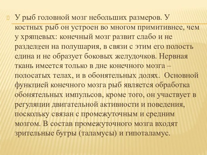 У рыб головной мозг небольших размеров. У костных рыб он устроен