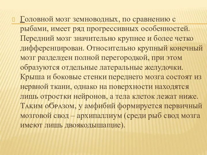 Головной мозг земноводных, по сравнению с рыбами, имеет ряд прогрессивных особенностей.