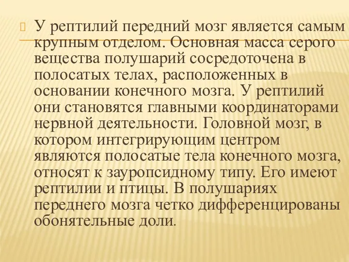 У рептилий передний мозг является самым крупным отделом. Основная масса серого