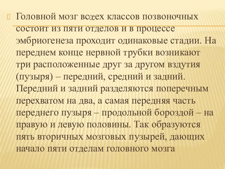 Головной мозг всех классов позвоночных состоит из пяти отделов и в