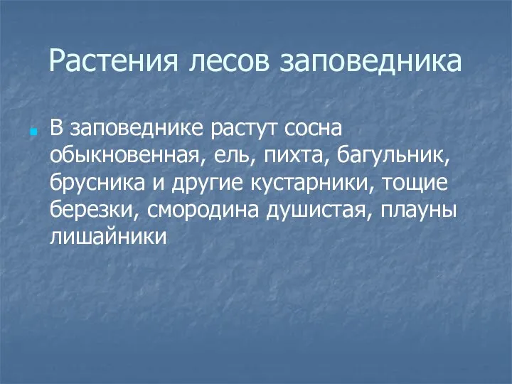 Растения лесов заповедника В заповеднике растут сосна обыкновенная, ель, пихта, багульник,