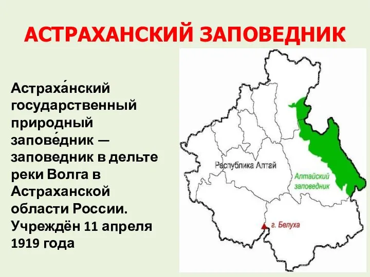 АСТРАХАНСКИЙ ЗАПОВЕДНИК Астраха́нский государственный природный запове́дник — заповедник в дельте реки