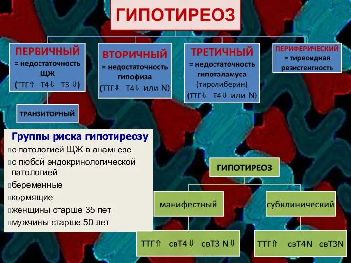 Группы риска гипотиреозу с патологией ЩЖ в анамнезе с любой эндокринологической