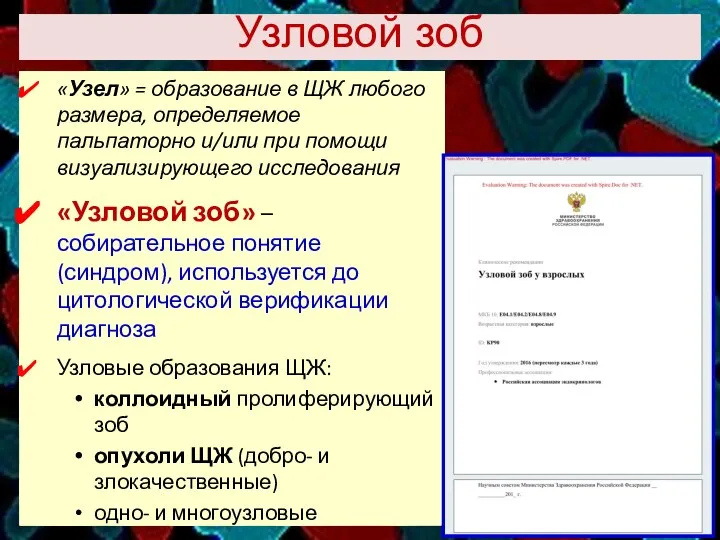 Узловой зоб «Узел» = образование в ЩЖ любого размера, определяемое пальпаторно