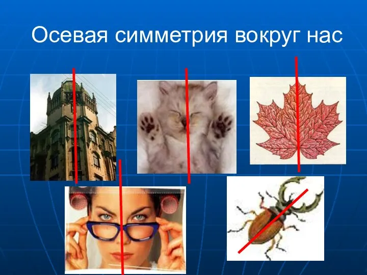 Осевая симметрия вокруг нас