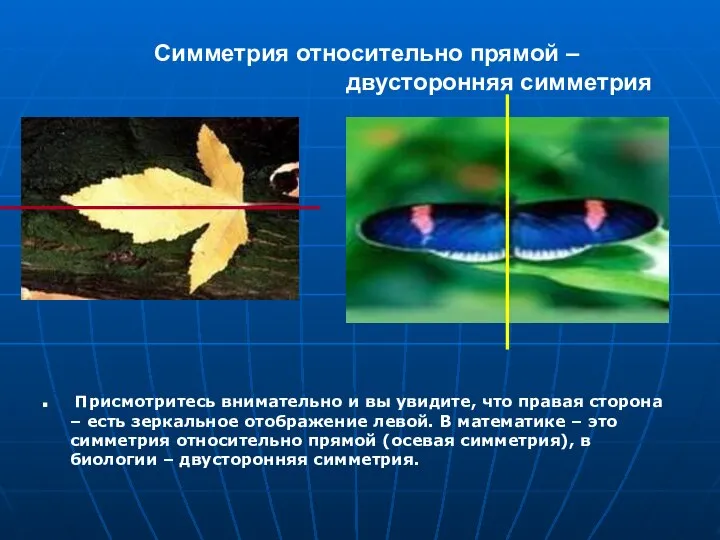 Симметрия относительно прямой – двусторонняя симметрия Присмотритесь внимательно и вы увидите,