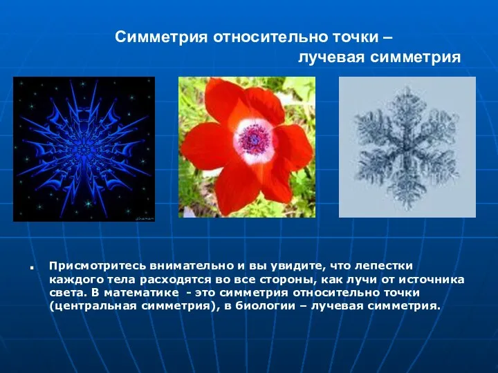 Симметрия относительно точки – лучевая симметрия Присмотритесь внимательно и вы увидите,