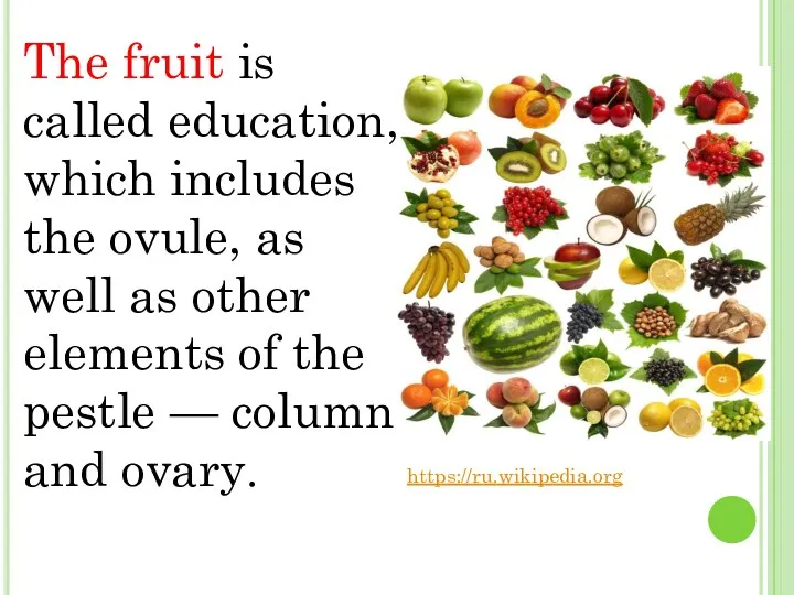 The fruit is called education, which includes the ovule, as well