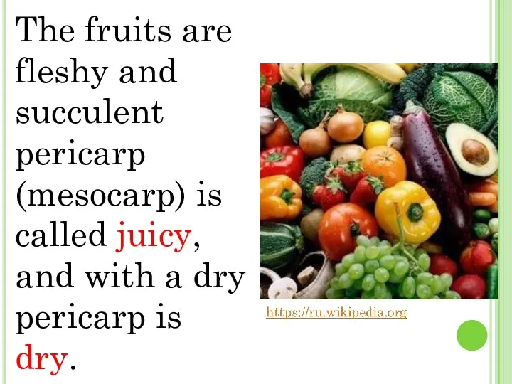 The fruits are fleshy and succulent pericarp (mesocarp) is called juicy,