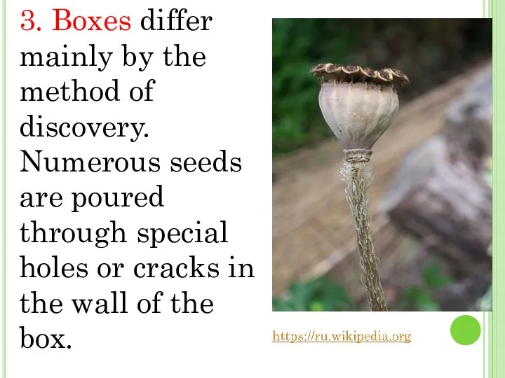 3. Boxes differ mainly by the method of discovery. Numerous seeds