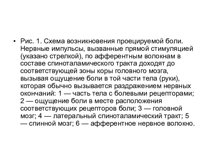 Рис. 1. Схема возникновения проецируемой боли. Нервные импульсы, вызванные прямой стимуляцией