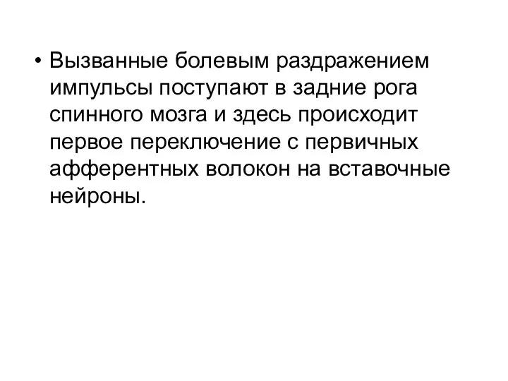 Вызванные болевым раздражением импульсы поступают в задние рога спинного мозга и